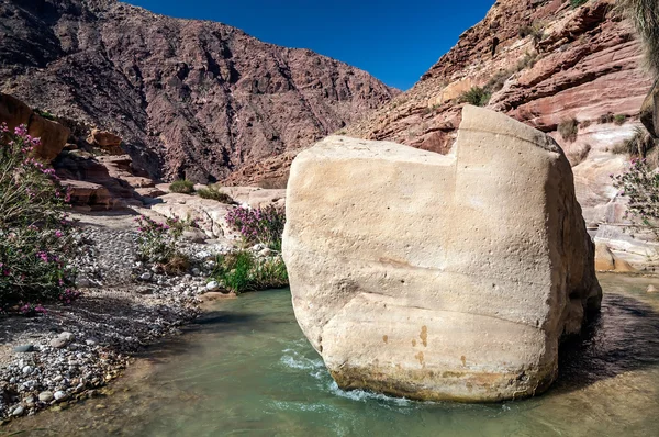 Wádí hasa creek v Jordánsku — Stock fotografie