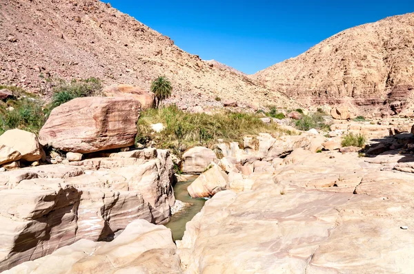 Riacho de Wadi hasa na Jordânia — Fotografia de Stock