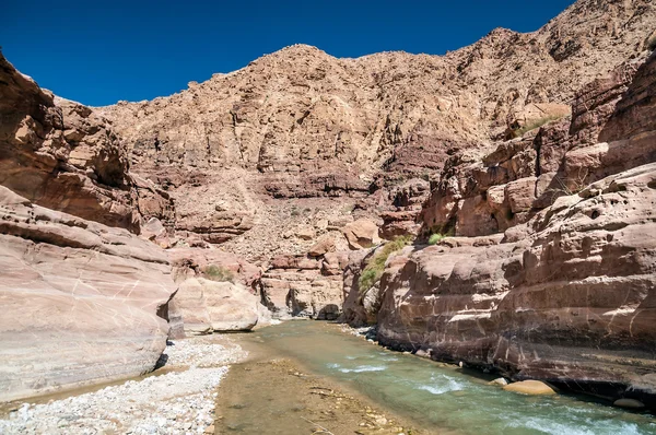 Wadi hasa creek Ürdün — Stok fotoğraf