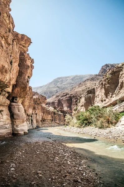 Wadi Hasa creek in Jordan — Stock Photo, Image