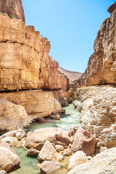 Wadi hasa creek Ürdün — Stok fotoğraf