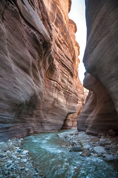 Wádí hasa creek v Jordánsku — Stock fotografie