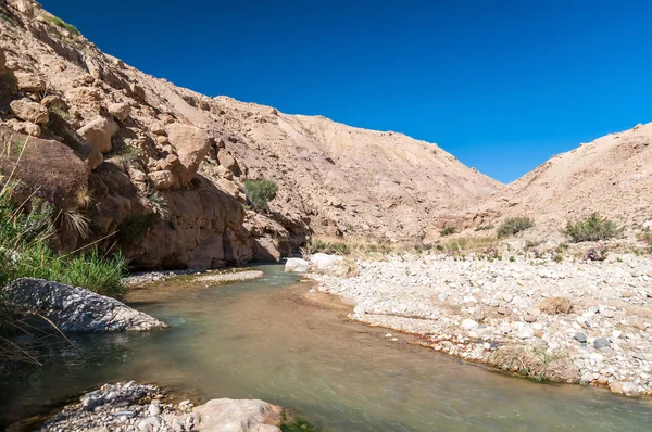 Wadi hasa creek w Jordanii — Zdjęcie stockowe