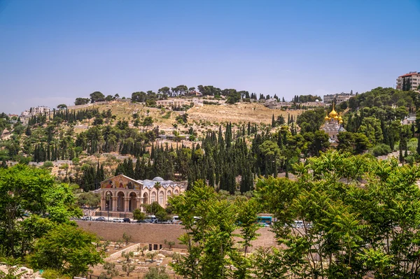 Mount of Olives Stock Image