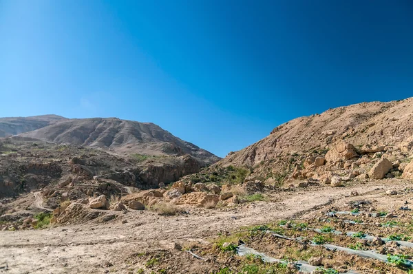 Paisaje del desierto —  Fotos de Stock