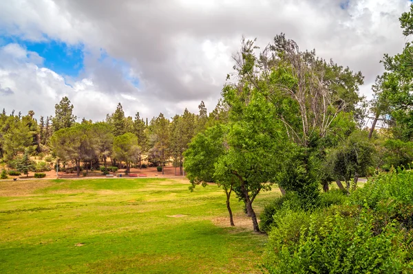 Park Landscape — Stock Photo, Image