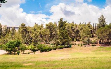 Park peyzaj