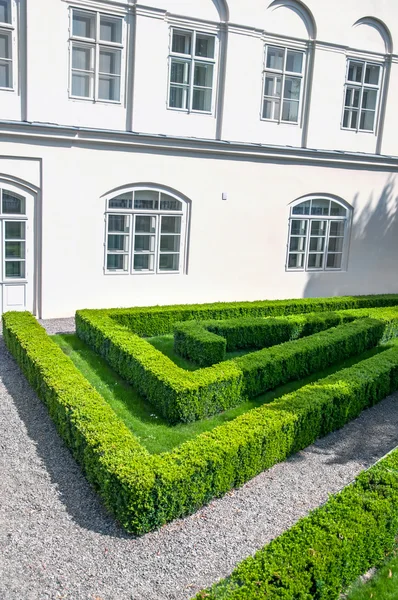 Gepflegten Büschen — Stockfoto