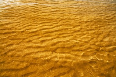 Deniz suyu ve alt arka plan