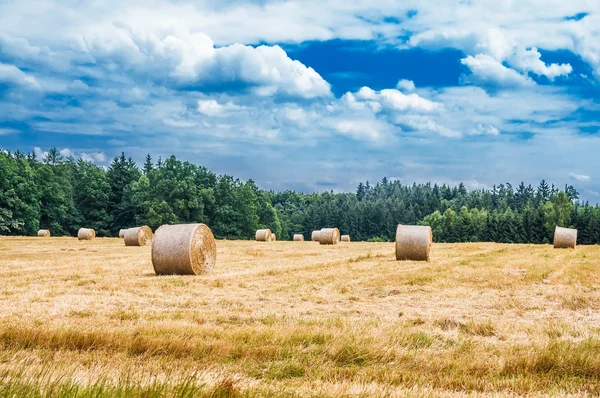 Haystacks on the field — Stock Photo, Image