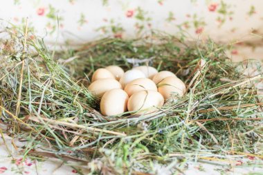 Saman, yiyecek, köy ve Rusya 'da bir sürü beyaz tavuk yumurtası..