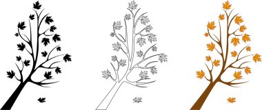 akçaağaç vektör kümesi