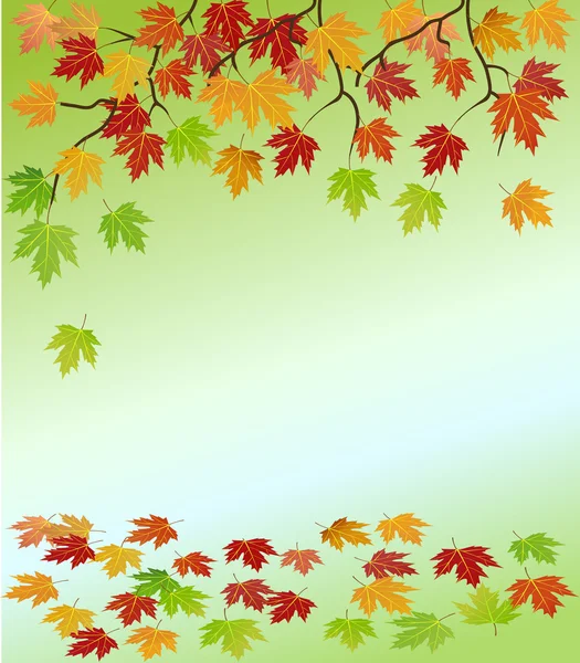 Maple leaf — Stock Vector