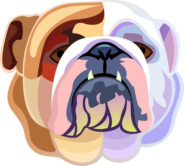 Färgade bulldog huvud — Stock vektor