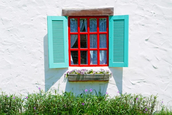 Rode & blauwe venster met bloempotten. — Stockfoto