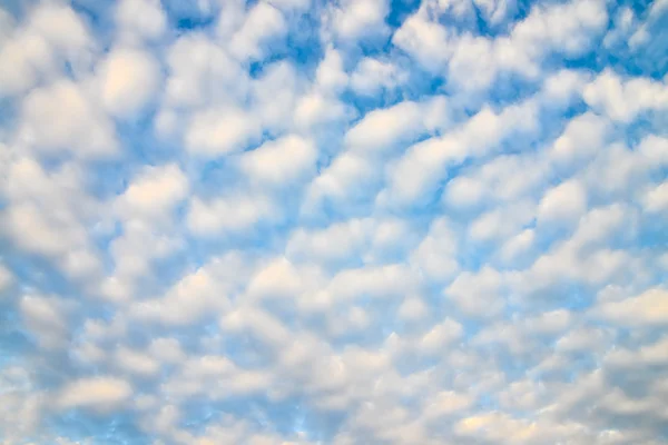 Modrá obloha a bílé nadýchané mraky — Stock fotografie