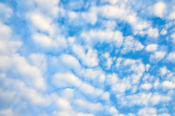 Cielo azul y nubes esponjosas blancas — Foto de Stock