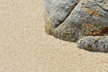 Kum plaj kayalar doku 