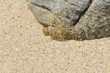 Kum plaj kayalar doku 