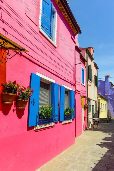 Flower Pots Decorate Walls Blue Windows Pink House Colorful Architecture — Photo