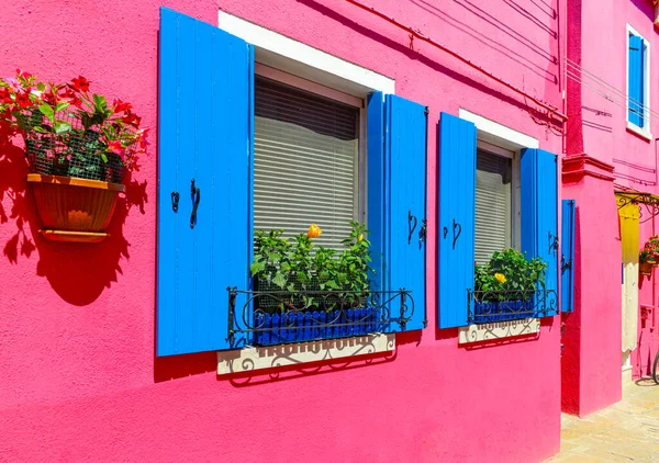 Flower Pots Decorate Walls Blue Windows Pink House Colorful Architecture — Zdjęcie stockowe