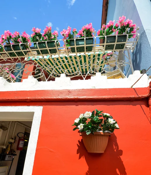 Květináče Balkóně Stěny Červeného Domu Barevná Architektura Ostrově Burano Benátky — Stock fotografie