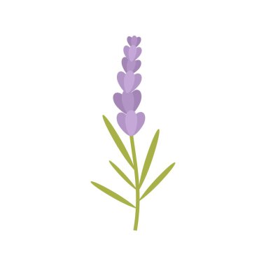 French herbal flower icon flat isolated vector