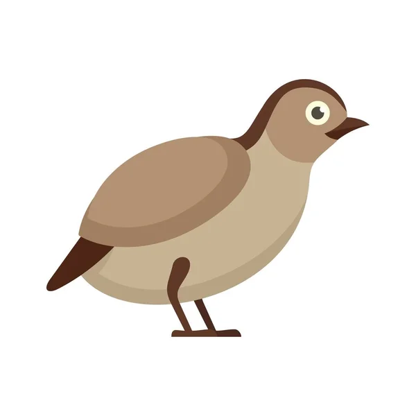 Quail wild icon flat isolated vector — Image vectorielle