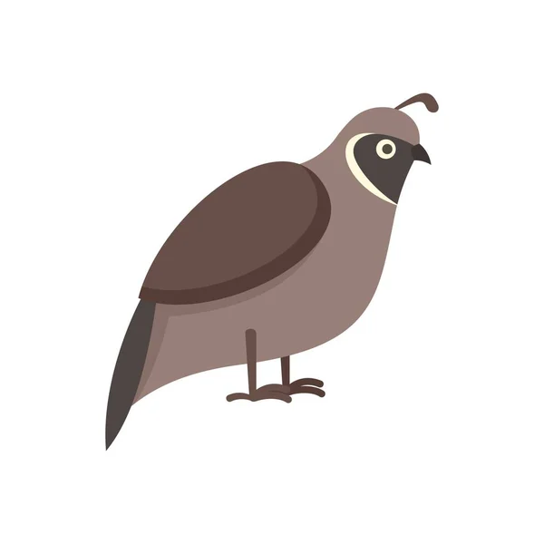 Quail domestic icon flat isolated vector — 스톡 벡터