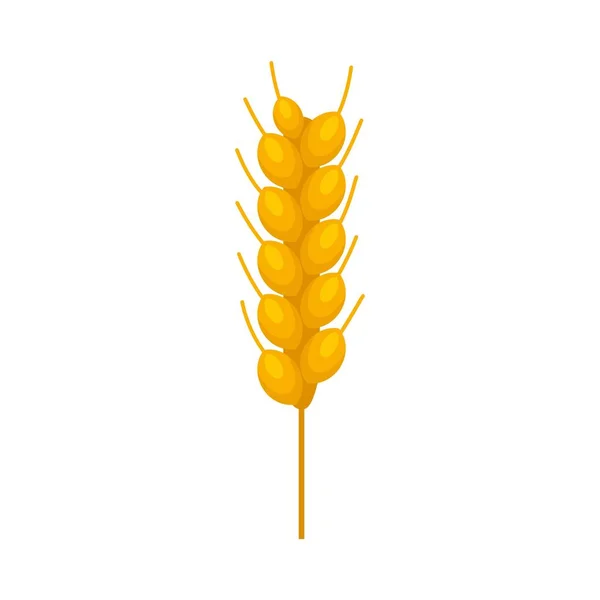 Wheat plant icon flat isolated vector — Stok Vektör