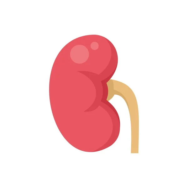 Pain kidney icon flat isolated vector — Stok Vektör