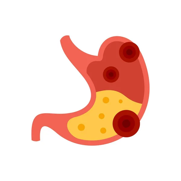 Stomach digestion icon flat isolated vector — Stok Vektör