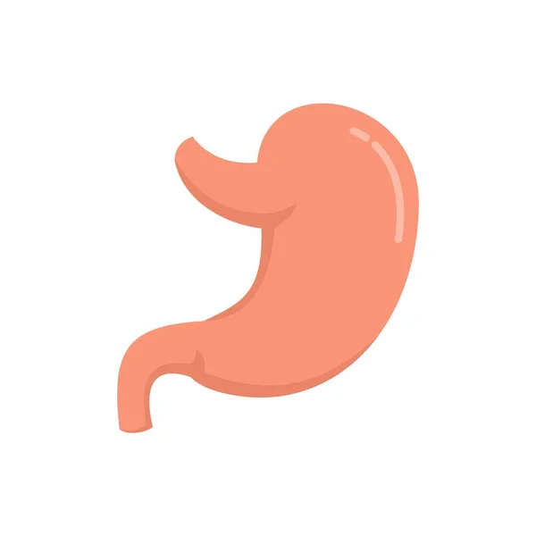 健康的な胃のアイコンフラット隔離ベクトル — ストックベクタ