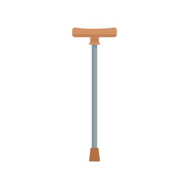 Walking stick icon flat isolated vector