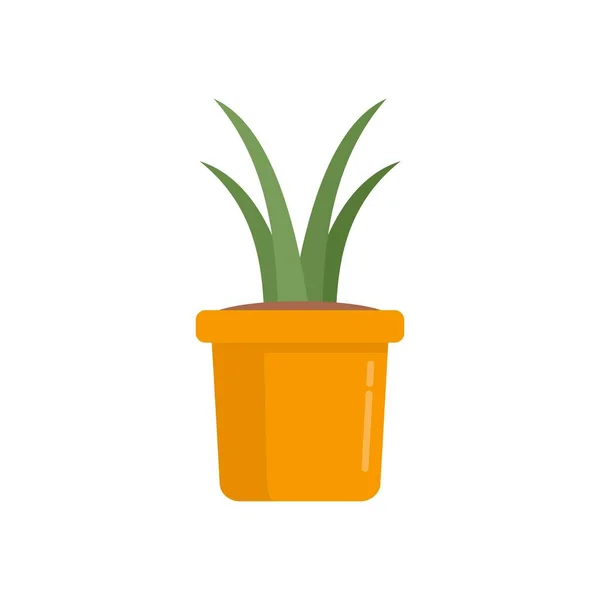 Succulent plant pot icon flat isolated vector — стоковый вектор