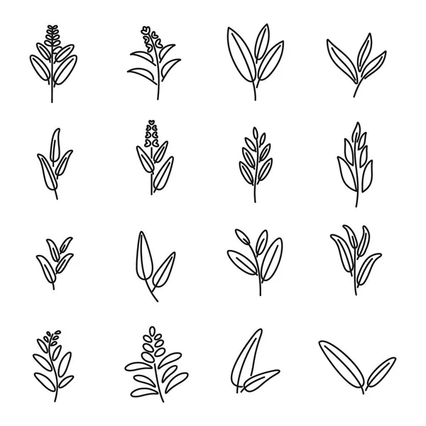 Sage icons set outline vector. Flower leaf — Stock Vector