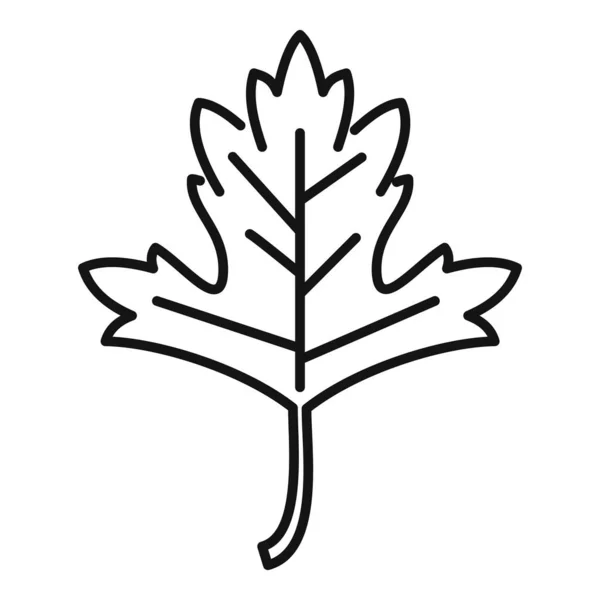 芳香族パセリアイコンアウトラインベクトル。葉のハーブ — ストックベクタ