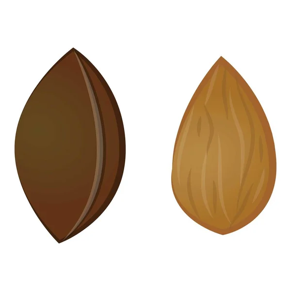 Abricot graine icône dessin animé vecteur. Fruits coupés — Image vectorielle