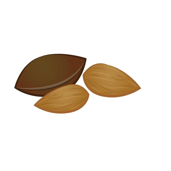 Vettore di cartoni animati icona semi di pesca. Frutta di albicocca — Vettoriale Stock