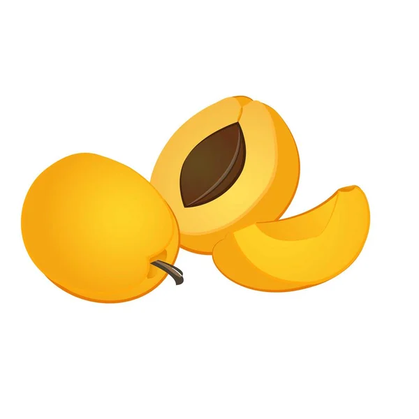 Nektarine Apricot Symbol Cartoon-Vektor. Lebensmittelsaft — Stockvektor