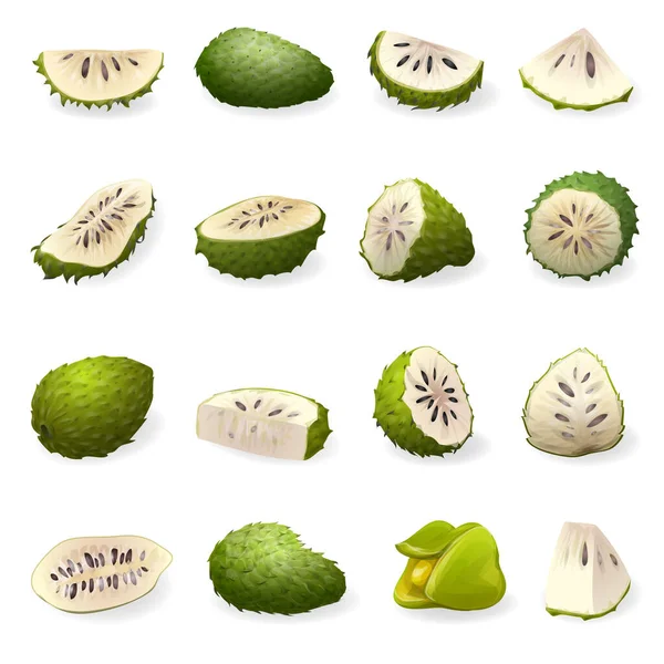 Soursop iconos conjunto vector de dibujos animados. Annona muricata — Vector de stock