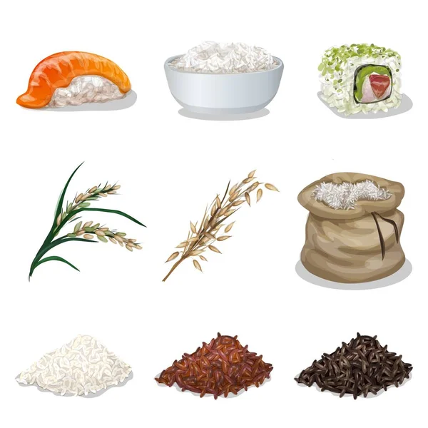 Rice icons set cartoon vector. Healthy flour — Stock Vector