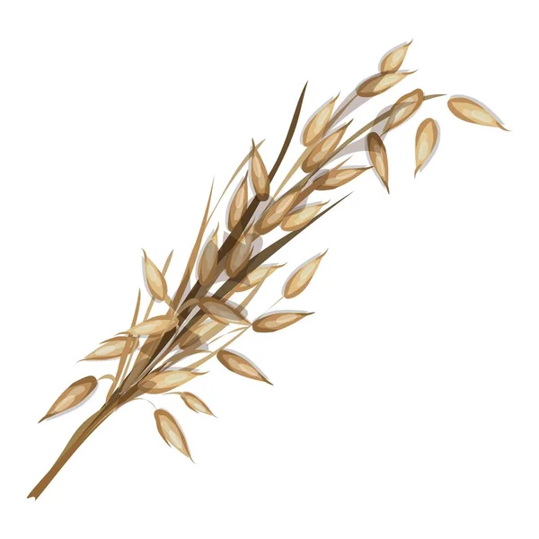 Pirinç ikonu karikatür vektörünün kuru çivisi. Vahşi bitki — Stok Vektör