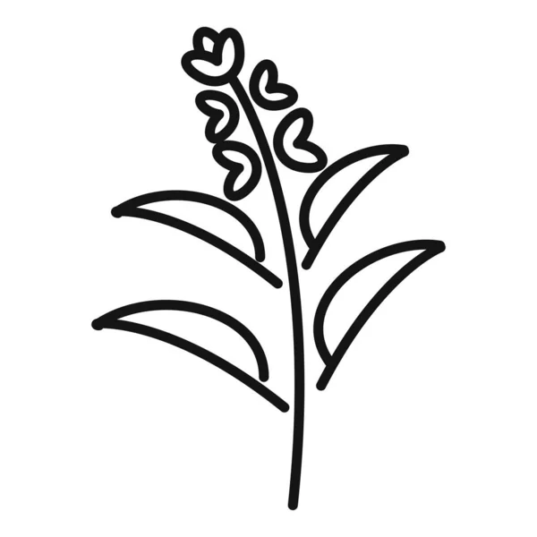 Sage ícone contorno vetor. Planta de folhas — Vetor de Stock