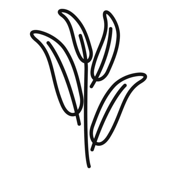 Växtbaserade salvia ikon kontur vektor. Örtanläggning — Stock vektor