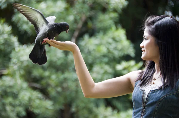 parkta bir güvercini besleme güzel Asyalı kadın.