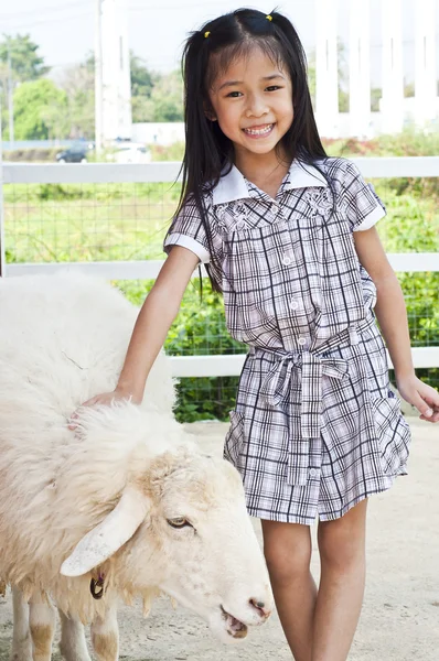 Piccola ragazza asiatica in allevamento di pecore . — Foto Stock