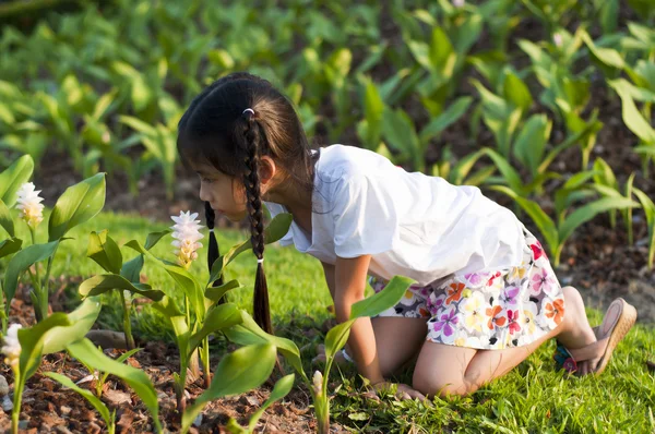 Piccola ragazza asiatica che annusa un fiore . — Foto Stock