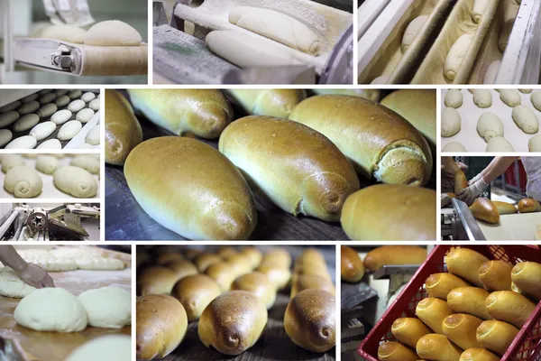 Хлеб в пекарне — стоковое фото