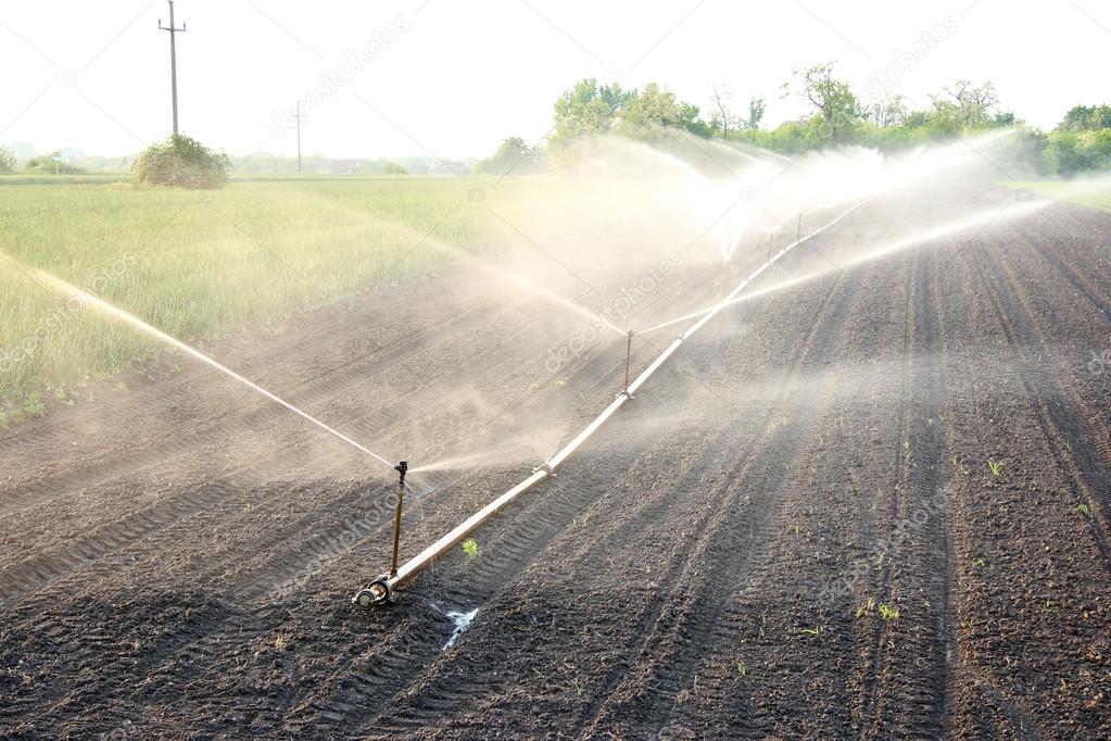 Agricultural Irrigation